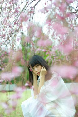电视剧《狂飙》